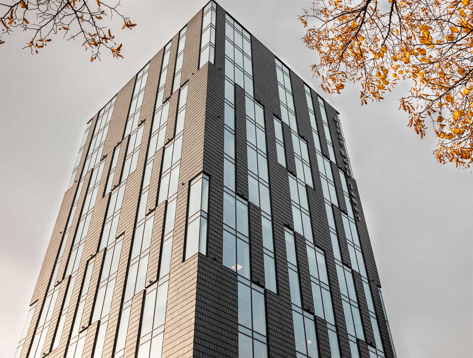 Сланцевый фасад Black Wood Tower. Фасадний сланець Samaca